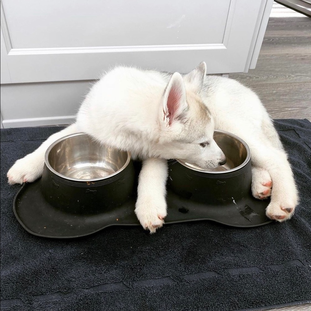 Meet your Posher, Anjali